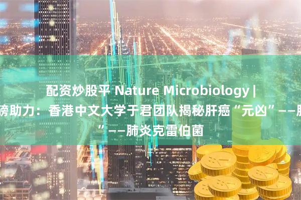 配资炒股平 Nature Microbiology | 净拓生物重磅助力:香港中文大学于君团队揭秘肝癌“元凶”——肺炎克雷伯菌